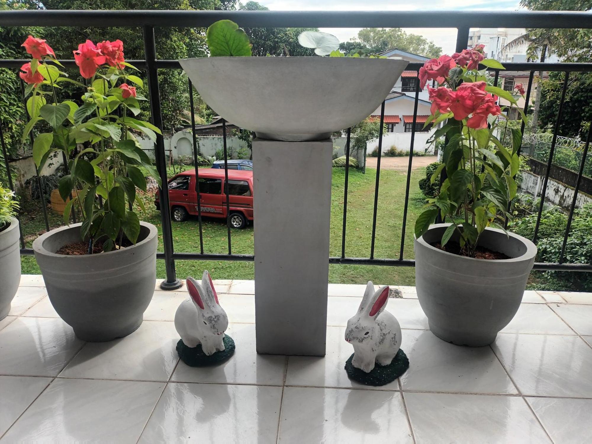 Lovely Flowers In Mount Lavinia Dehiwala-Mount Lavinia Exterior foto