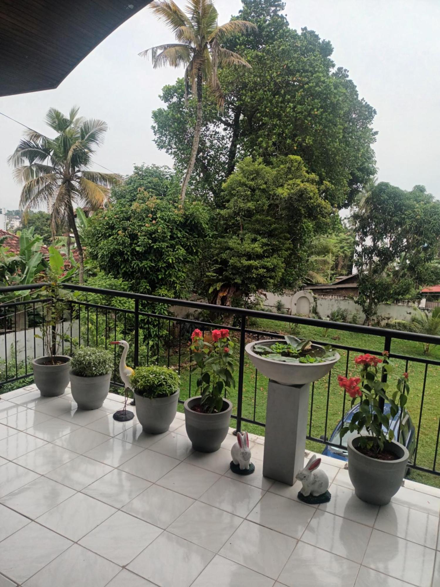 Lovely Flowers In Mount Lavinia Dehiwala-Mount Lavinia Exterior foto